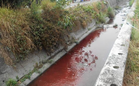 Slaughterhouse Water